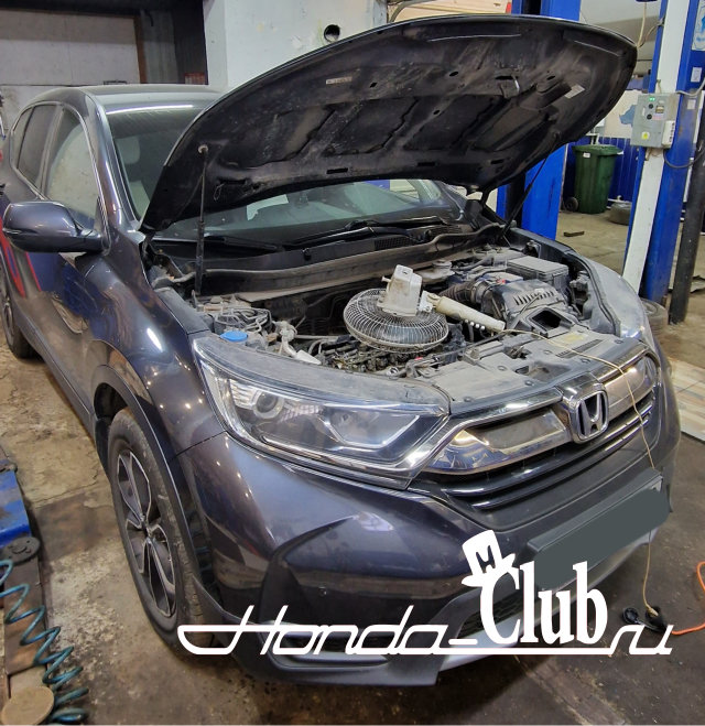 охлаждение двигателя хонда