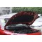 Honda Civic 1,5T - 6008
