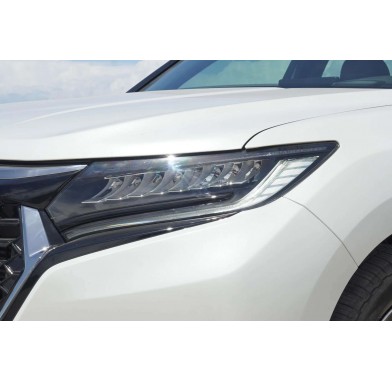Honda UR-V 2.0T - 10268